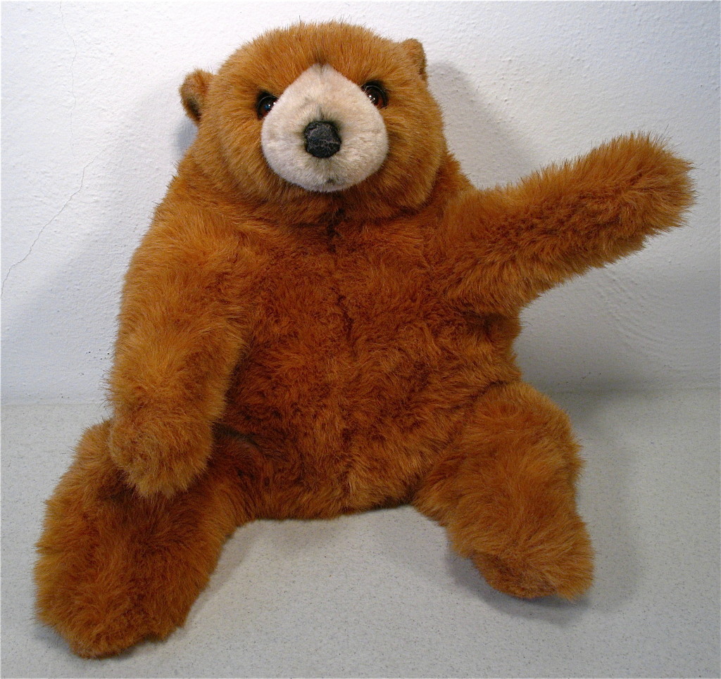 Brown Bear with 10 lbs